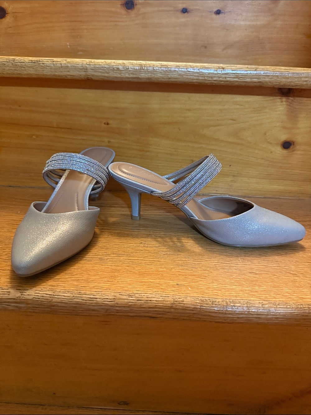 Style & Co Elegant Women's Pointed Mule Heels in Shimmery Silver